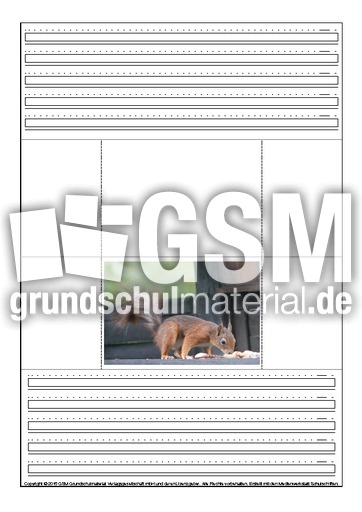 Popup-Buch-Eichhörnchen-C-1-6.pdf